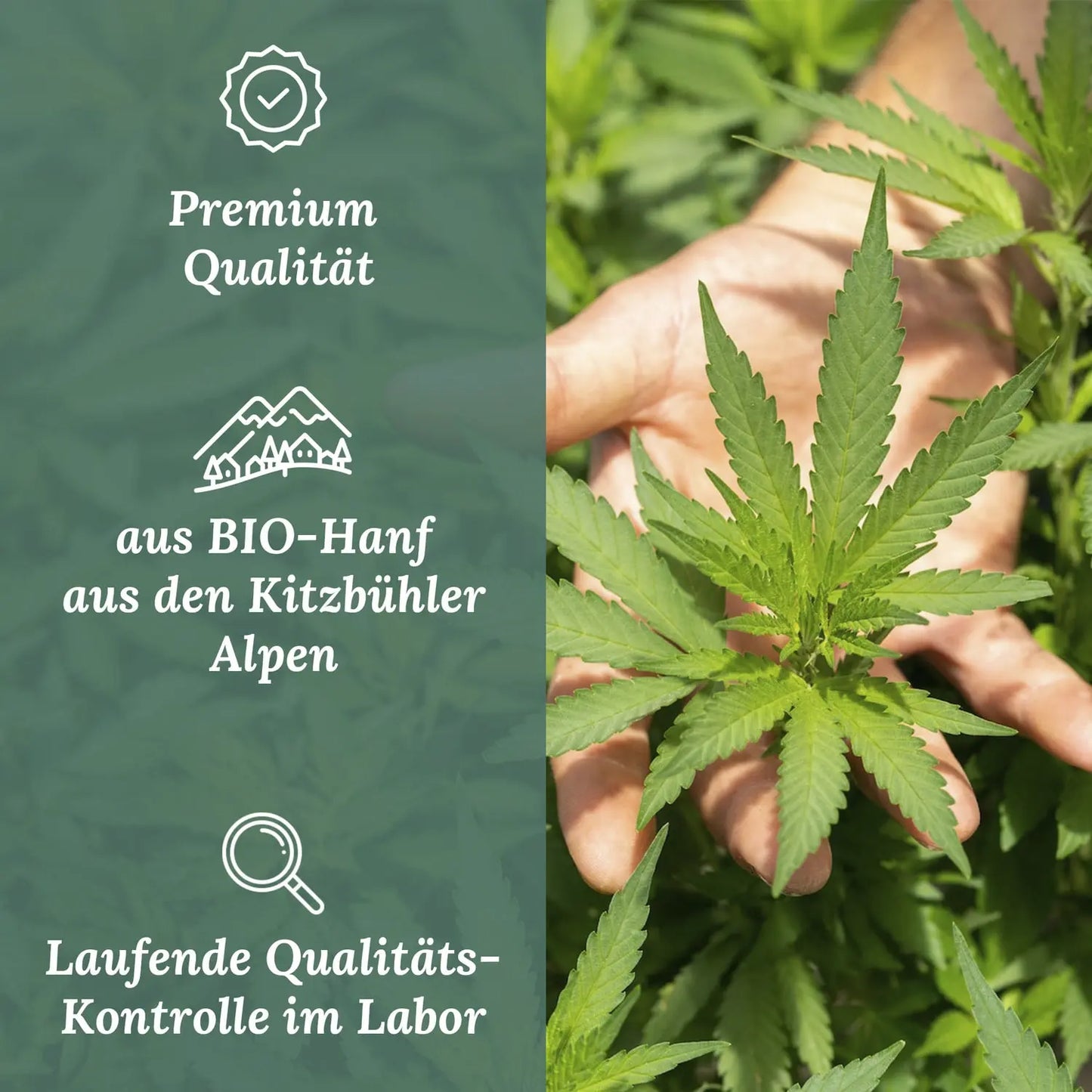 Naturblut CBD Öl für Hunde