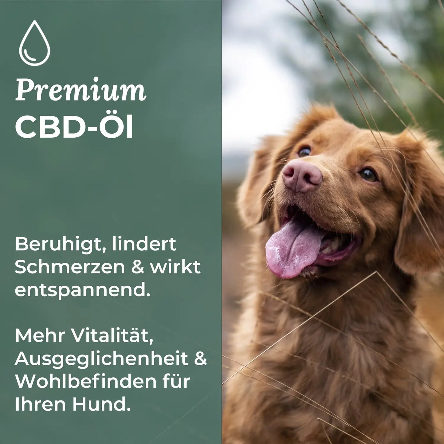 Naturblut CBD Öl für Hunde